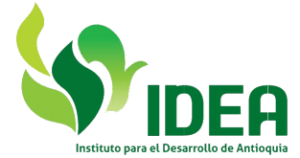 logo IDEA